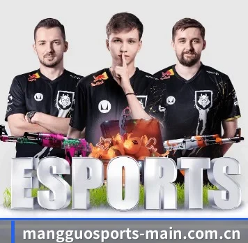 芒果体育 APP（MangoSport）